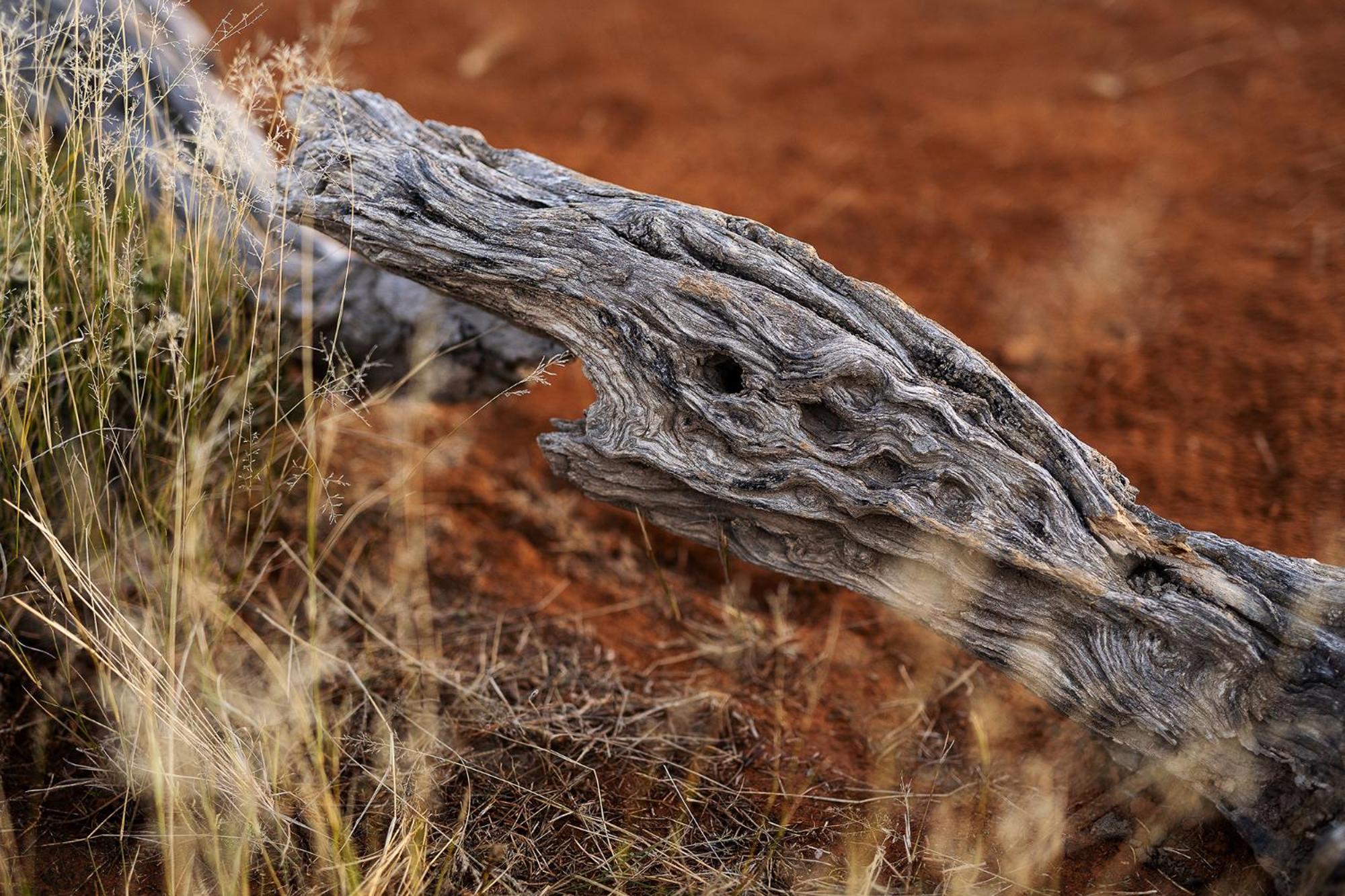 Samara Karoo Reserve Храфф-Рейнет Экстерьер фото